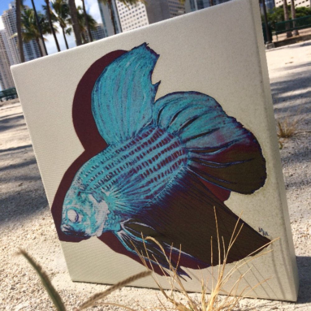 Beta Fish - Original Wall Art print on 12 x 12 canvas - Picture 6 of 6